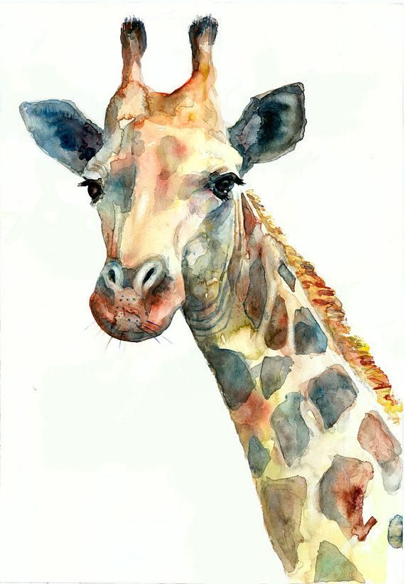 Teach Me Courses - Animal painting in water colours