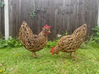 Teach Me Courses-Willow-Animal-Making